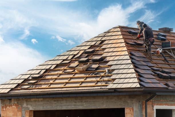 Best Skylight Installation and Repair  in Princeton, TX