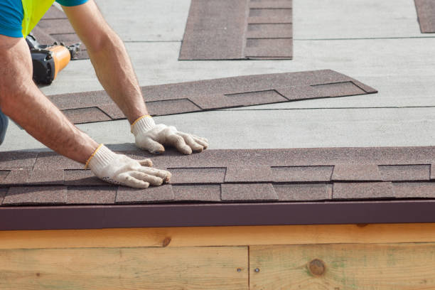 Best Roof Ventilation Installation  in Princeton, TX